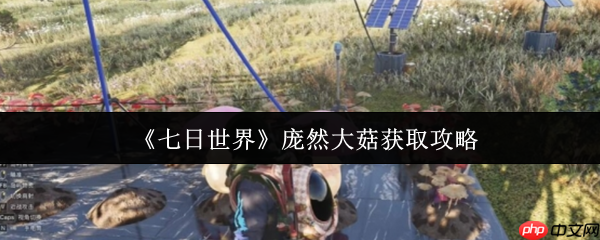 七日世界庞然大菇怎么获取  七日世界庞然大菇获取攻略