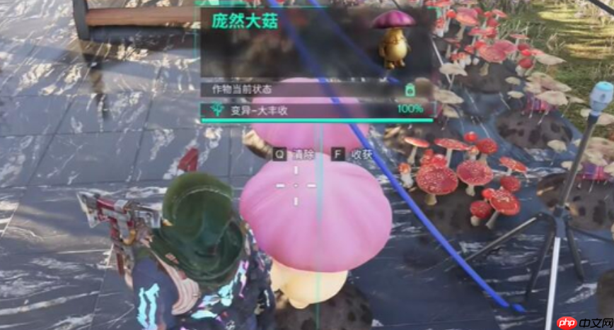 七日世界庞然大菇怎么获取  七日世界庞然大菇获取攻略