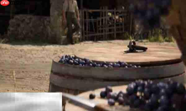 四海兄弟故乡节俭珠饰在哪 节俭珠饰获取位置一览​