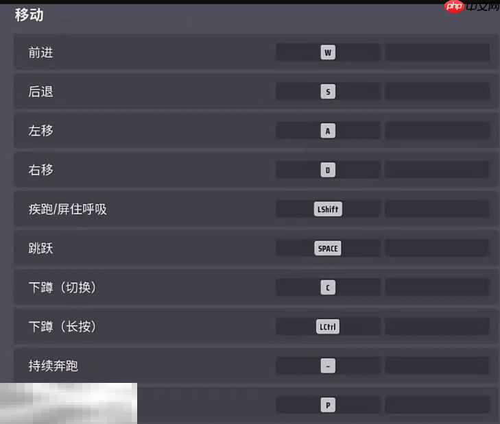 远光84视野怎么设置 视野设置方法分享