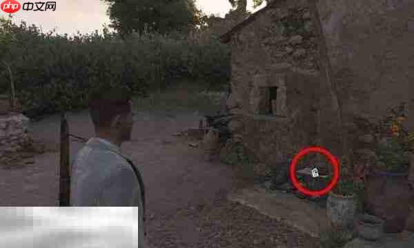 四海兄弟故乡新教皇报纸在哪里 新教皇报纸位置介绍