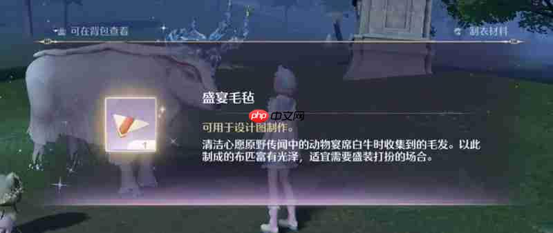 无限暖暖盛宴毛毡怎么获得 暖暖盛宴毛毡获取方法详解