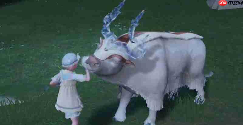 无限暖暖盛宴毛毡怎么获得 暖暖盛宴毛毡获取方法详解