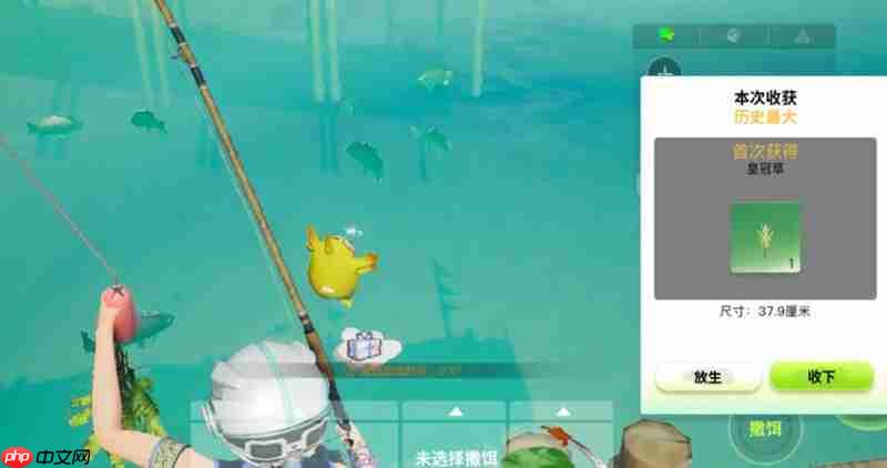 创造吧我们的星球钓鱼怎么玩 钓鱼玩法详细攻略