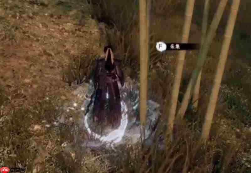 下一站江湖2枯荣秘宝怎么获取 枯荣秘宝详细获取方法