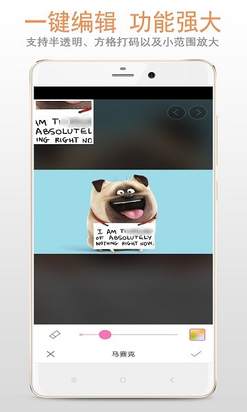 马赛克打码专家软件下载安装最新版