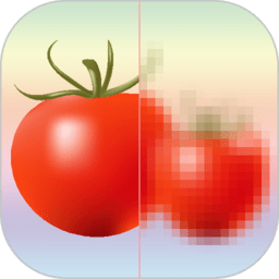 马赛克打码专家软件下载安装最新版