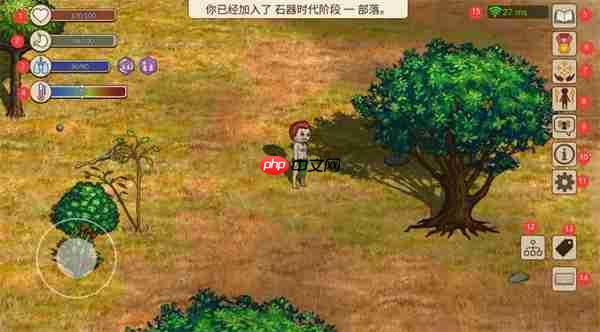 村落人生全部属性作用效果介绍