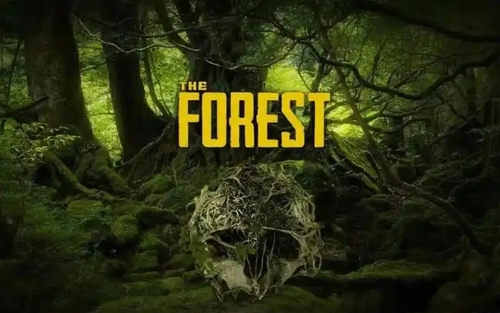 森林之子作弊码怎么输入 作弊码输入方法