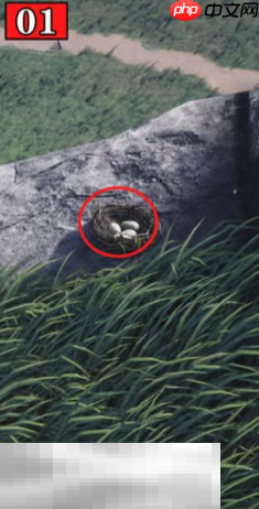 燕云十六声如此解忧怎么做 清河丹崖万事知收集