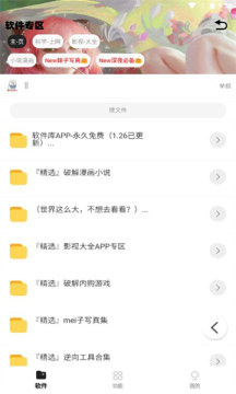 倾城软件库蓝奏云最新版2025下载