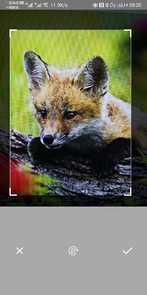 智能拍照识别软件