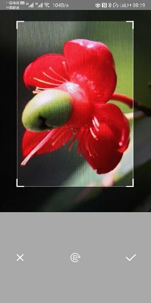 智能拍照识别app安卓2025最新版