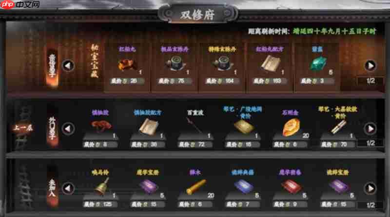 下一站江湖2双修府怎么玩 双修府玩法详细攻略