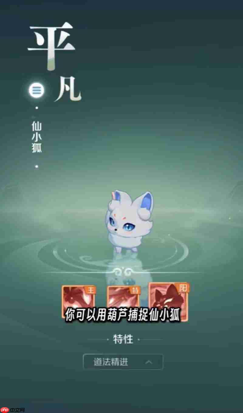 灵兽大冒险仙小狐怎么培养 仙小狐骑乘技能详细解析