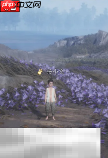 燕云十六声残佛不语怎么完成 清河慈心镇万事知收集