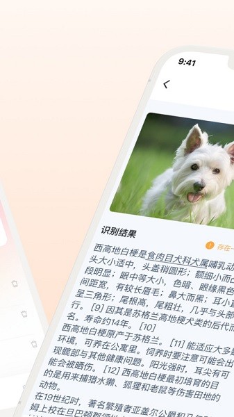 口袋识别app下载