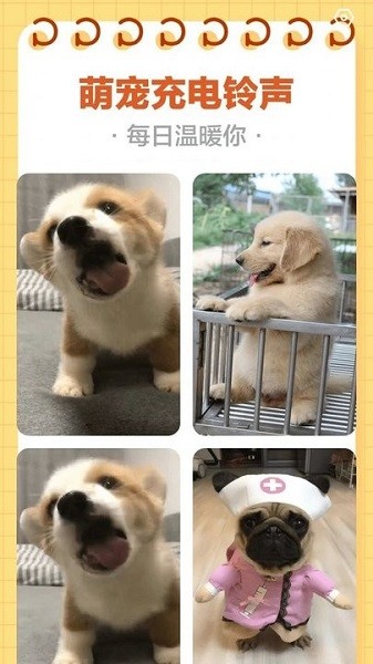 来福充电手机版下载2026版