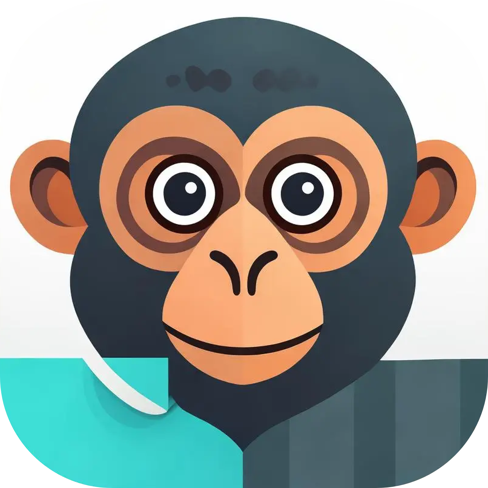 吗喽会议app手机版下载