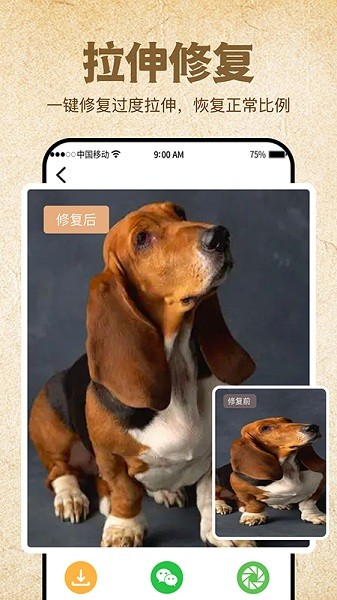 影像修复大师app下载安装安卓版