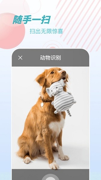 物品识别师app下载