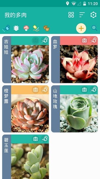 多肉成长记最新版