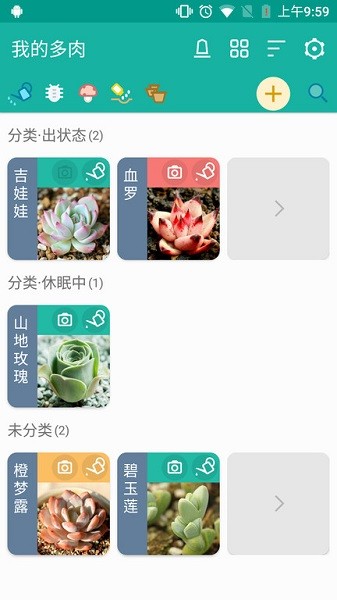 多肉成长记手机版安卓2026最新版