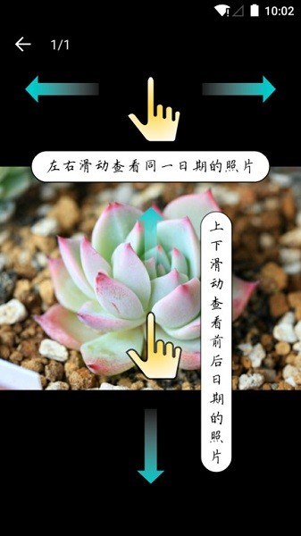 多肉成长记手机版安卓2026最新版