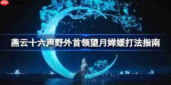 燕云十六声野外首领望月婵媛打法指南